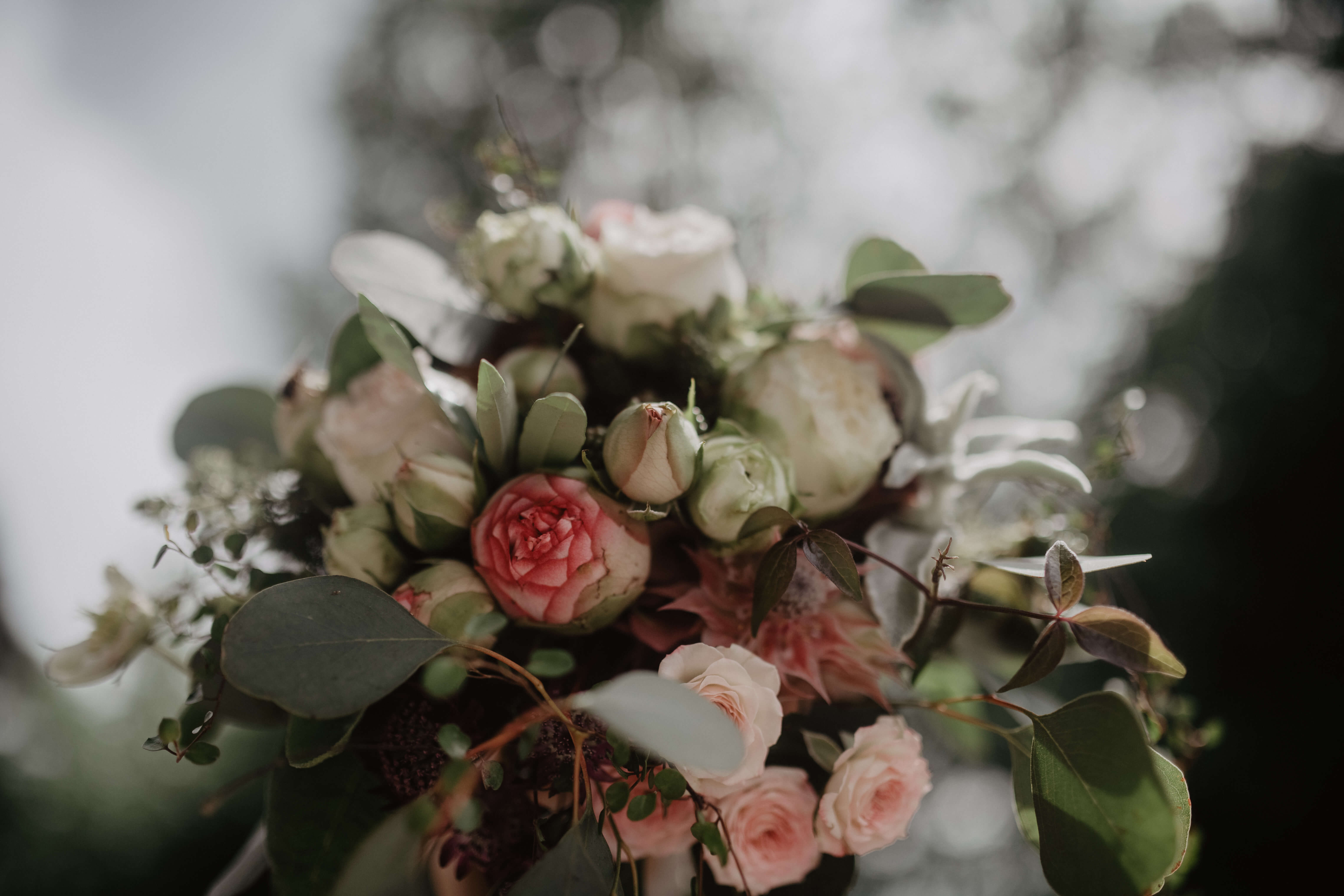 Heiraten & Feiern