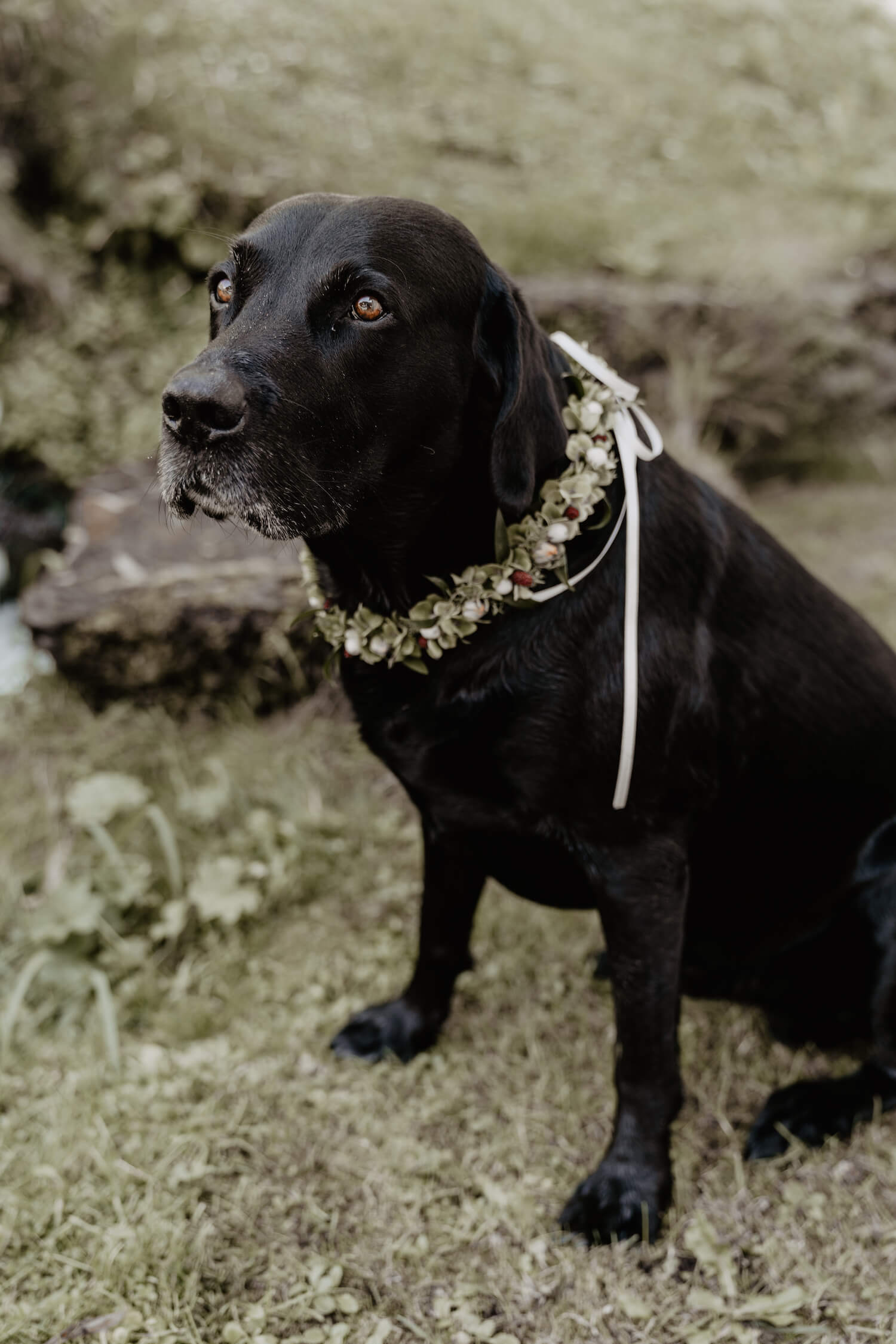 Heiraten & Feiern