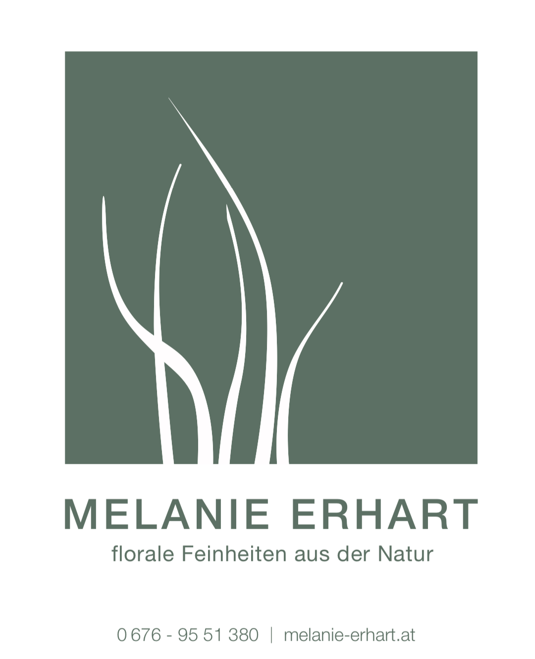 Melanie Erhart