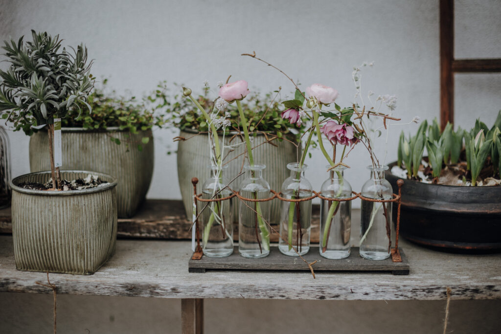 Melanie Erhart Frühling 13. März 2024-29